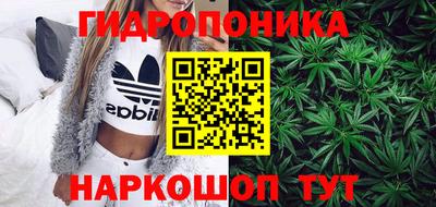 прущие грибы Шелехов