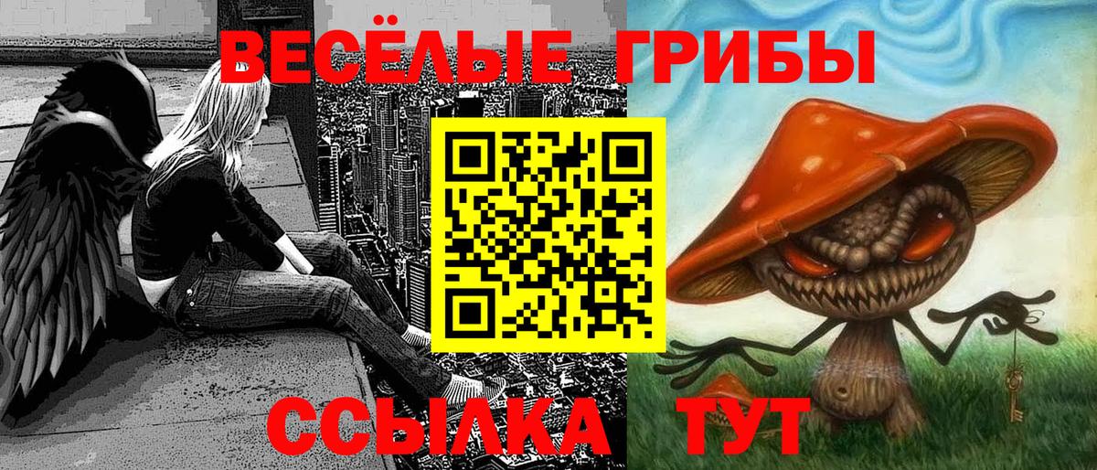 Будённовск  Галлюциногенные грибы прущие грибы  Вход с VPN  Псилоцибиновые грибы мицелий 